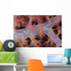 Translucent Flesh Of This Alcyonarian Coral Wall Mural