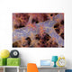 Translucent Flesh Of This Alcyonarian Coral Wall Mural
