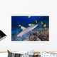 Grey Reef Shark Surrounded By Bright Yellow Fish At The Ocean Floor Wall Mural