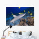 Grey Reef Shark Surrounded By Bright Yellow Fish At The Ocean Floor Wall Mural