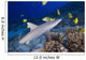 Grey Reef Shark Surrounded By Bright Yellow Fish At The Ocean Floor Wall Mural