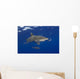 Hawaii, Oceanic Whitetip Shark With Pilot Fish Wall Mural