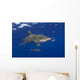 Hawaii, Oceanic Whitetip Shark With Pilot Fish Wall Mural