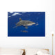 Hawaii, Oceanic Whitetip Shark With Pilot Fish Wall Mural