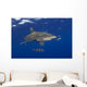 Hawaii, Oceanic Whitetip Shark With Pilot Fish Wall Mural