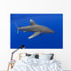 Hawaii, Oceanic Whitetip Shark With Pilot Fish Wall Mural