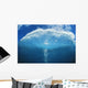 Wave Tube Looking Towards The Sky, View From Front, Blue Sky Wall Mural