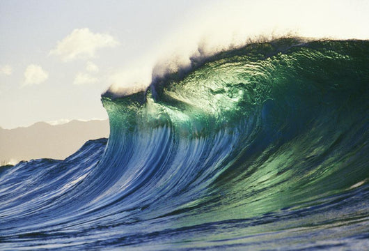 Hawaii, Oahu, North Shore Wall Mural