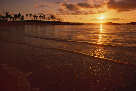 Hawaii, Oahu, Ko'olina Resort, Sunset Over Ocean, Palm Trees Wall Mural