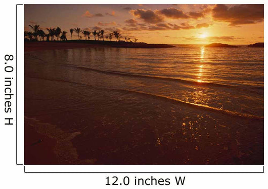 Hawaii, Oahu, Ko'olina Resort, Sunset Over Ocean, Palm Trees Wall Mural