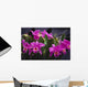 Hawaii, Cluster Of Pink Cattleya Orchids Wall Mural