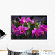 Hawaii, Cluster Of Pink Cattleya Orchids Wall Mural