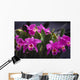 Hawaii, Cluster Of Pink Cattleya Orchids Wall Mural