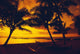Outrigger Canoe Resting On A Tropical Beach Wall Mural