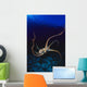 Hawaii, Day Octopus Dark Blue Water, Near Ocean Floor Wall Mural
