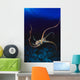 Hawaii, Day Octopus Dark Blue Water, Near Ocean Floor Wall Mural