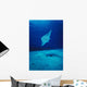Hawaii, Common Manta Ray Swims Over Sand Bottom Wall Mural