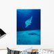 Hawaii, Common Manta Ray Swims Over Sand Bottom Wall Mural