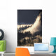 Ground Fog And Pine Trees In Yosemite Valley Wall Mural