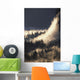 Ground Fog And Pine Trees In Yosemite Valley Wall Mural