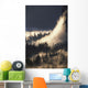 Ground Fog And Pine Trees In Yosemite Valley Wall Mural