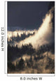 Ground Fog And Pine Trees In Yosemite Valley Wall Mural