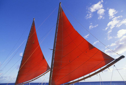 Hawaii, Oahu, Waikiki, Bright Red Sails Of Aikane Catamaran Wall Mural