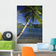 Scenic View Of Clear Bay And Palm Trees Wall Mural