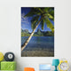 Scenic View Of Clear Bay And Palm Trees Wall Mural