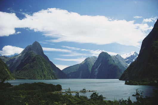 New Zealand, Fiordlands National Park, Milford Sound Wall Mural