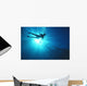 Silhouette Of Scuba Diver Near The Surface Above Mahi Wreck Wall Mural