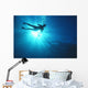 Silhouette Of Scuba Diver Near The Surface Above Mahi Wreck Wall Mural