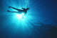 Silhouette Of Scuba Diver Near The Surface Above Mahi Wreck Wall Mural