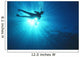 Silhouette Of Scuba Diver Near The Surface Above Mahi Wreck Wall Mural
