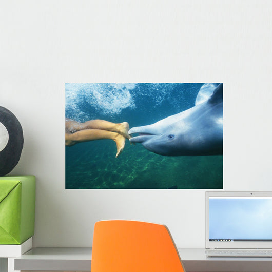 Underwater View Wall Mural