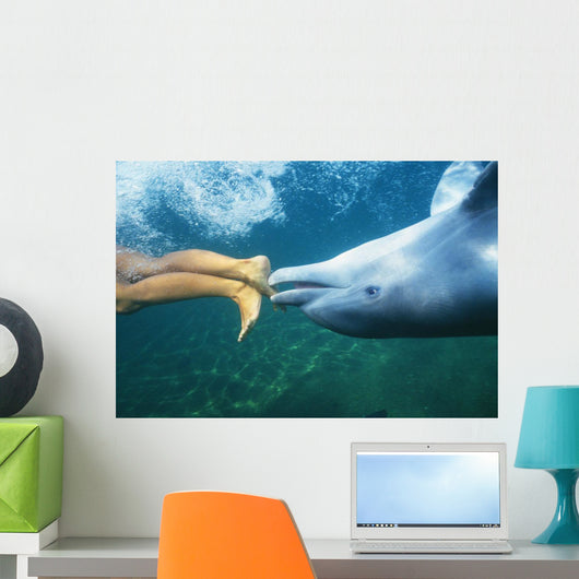 Underwater View Wall Mural