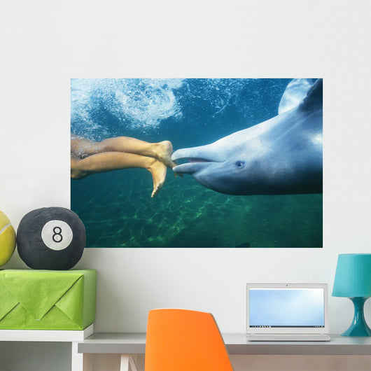 Underwater View Wall Mural