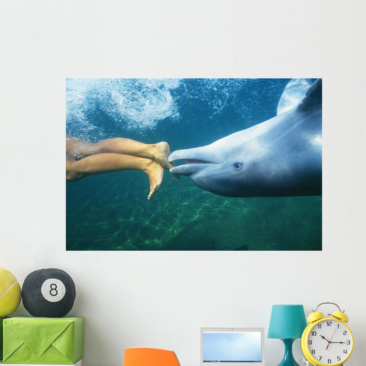 Underwater View Wall Mural