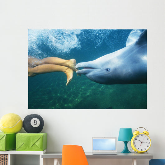 Underwater View Wall Mural