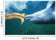 Underwater View Wall Mural