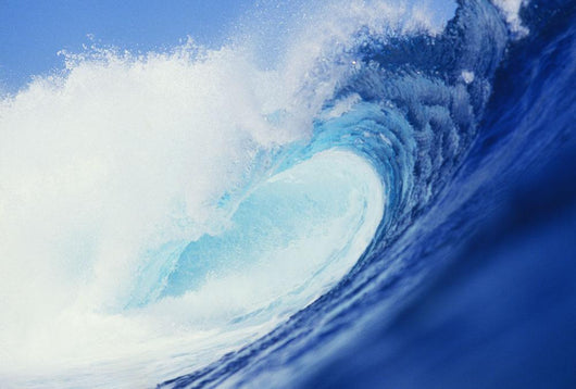 Hawaii, Side View Of Blue, Curling Wave Wall Mural