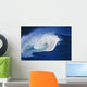 Hawaii, Powerful Wave, White Water Wall Mural