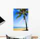 Hawaii, Oahu, Honolulu, Ala Moana Beach Park, Palm Tree And Rainbow Wall Mural