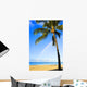Hawaii, Oahu, Honolulu, Ala Moana Beach Park, Palm Tree And Rainbow Wall Mural