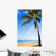 Hawaii, Oahu, Honolulu, Ala Moana Beach Park, Palm Tree And Rainbow Wall Mural