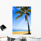 Hawaii, Oahu, Honolulu, Ala Moana Beach Park, Palm Tree And Rainbow Wall Mural