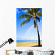 Hawaii, Oahu, Honolulu, Ala Moana Beach Park, Palm Tree And Rainbow Wall Mural