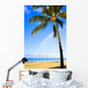 Hawaii, Oahu, Honolulu, Ala Moana Beach Park, Palm Tree And Rainbow Wall Mural