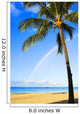 Hawaii, Oahu, Honolulu, Ala Moana Beach Park, Palm Tree And Rainbow Wall Mural