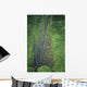 Hawaii, Kauai, Mt Waialeale, Wettest Spot On The Island Wall Mural